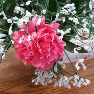 Meet your Posher, Ann